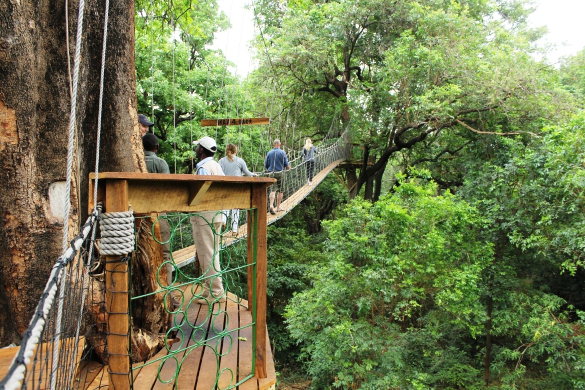 Lake Manyara Treetop Walkway