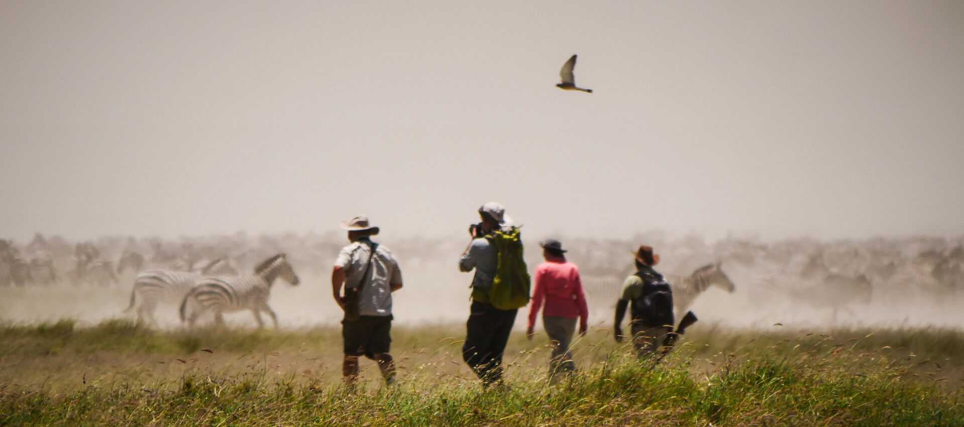 Pas après pas Pas après pas
