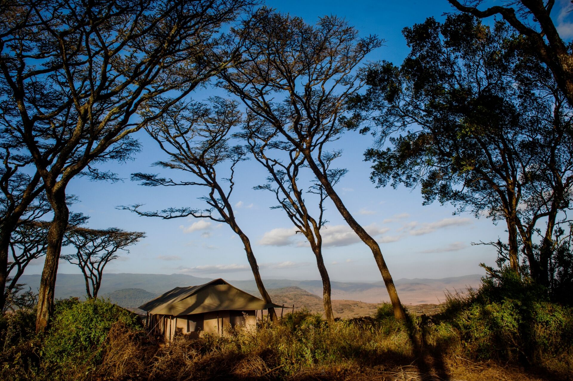 Hébergements au cratère du Ngorongoro