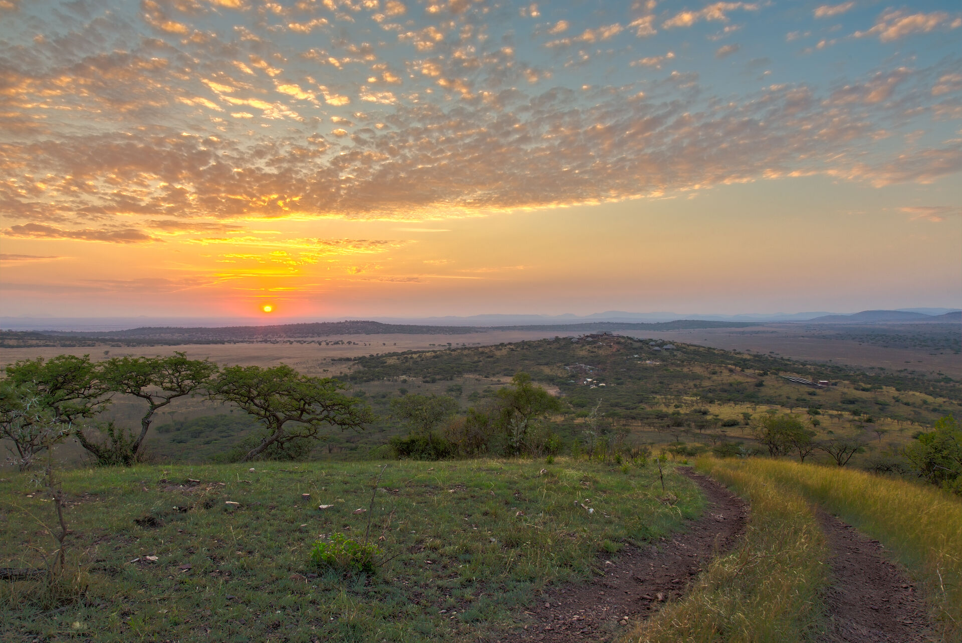 L'Ouest du Serengeti – Adapté d'Avril à Juin