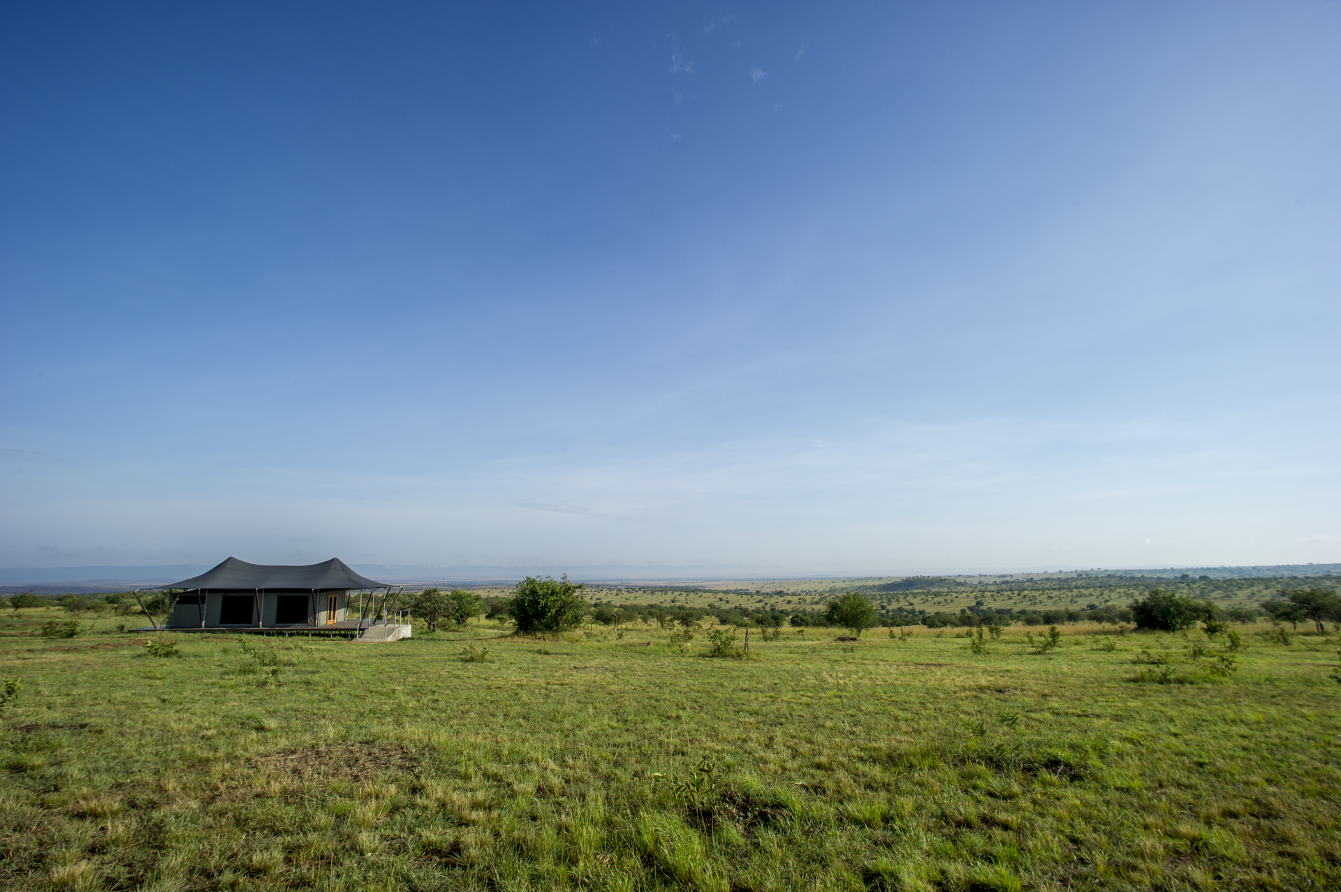 Nord du Serengeti – Adapté de Juillet à Septembre
