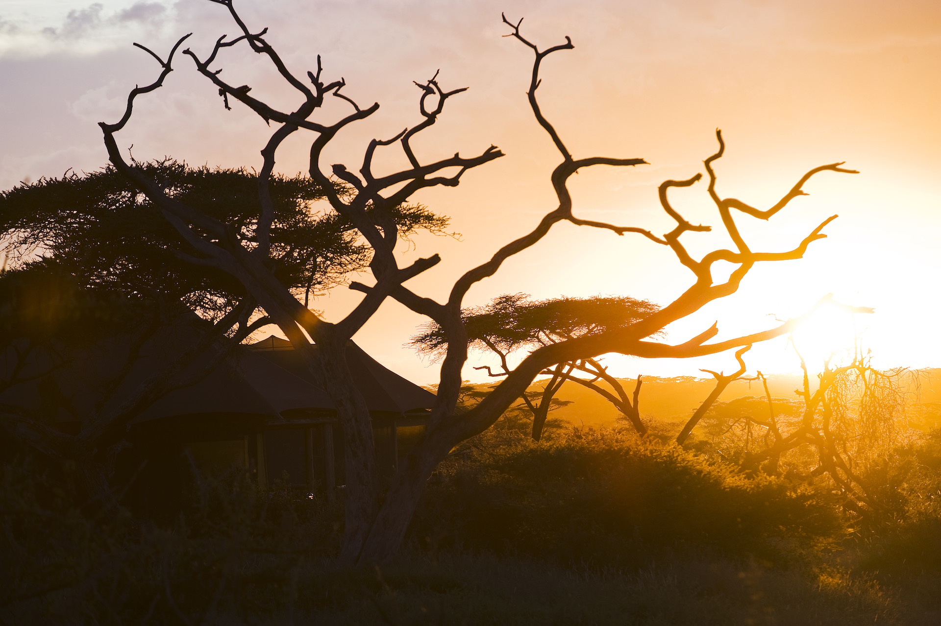Sud du Serengeti – Adapté de Décembre à Mars