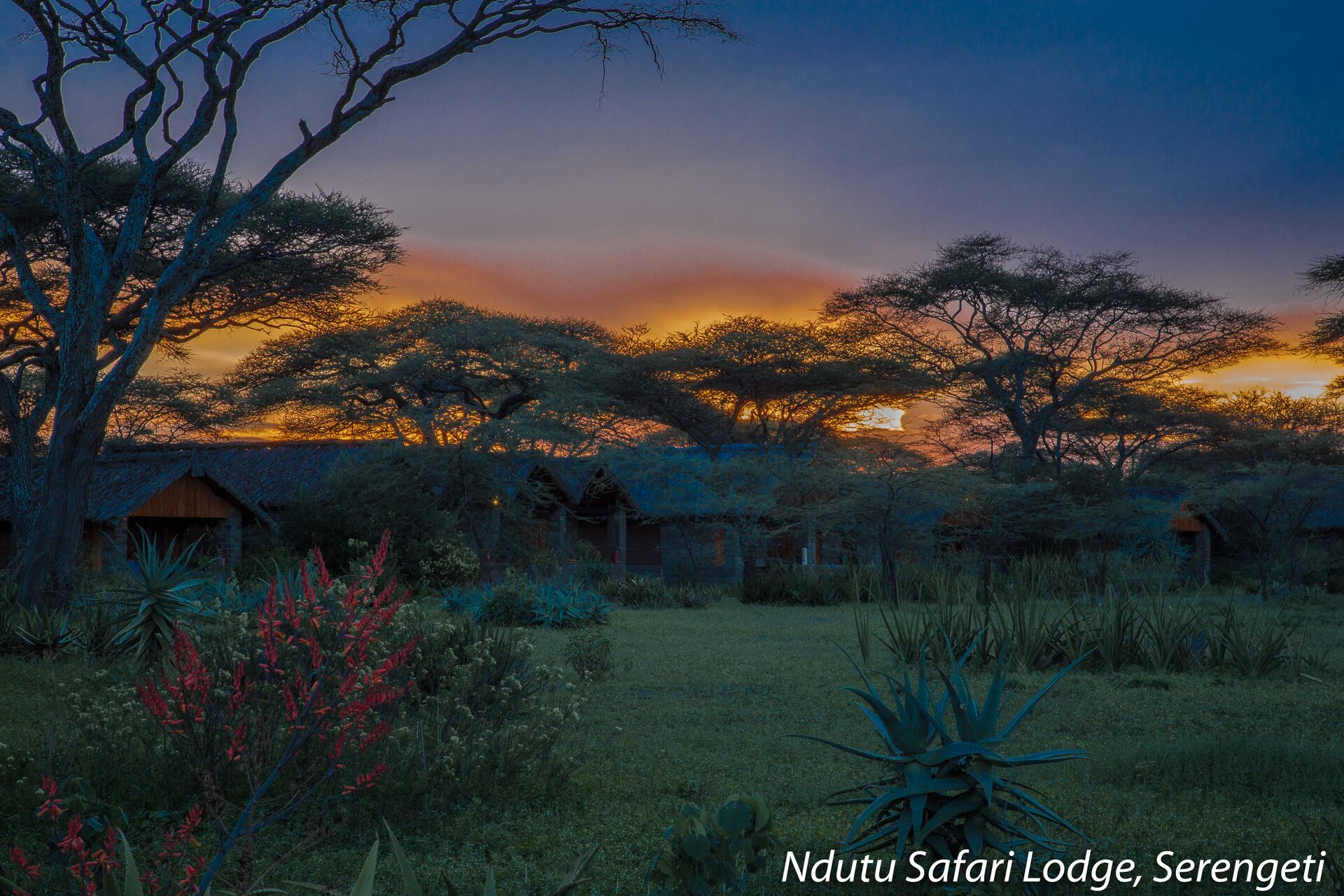 Sud du Serengeti – Adapté de Décembre à Mars